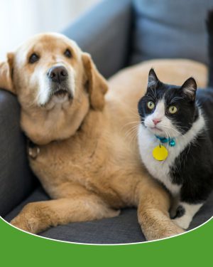 Routine is important