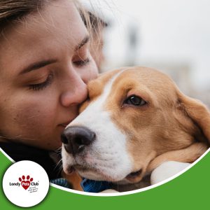 Why consistency in pet care makes all the difference
